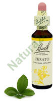 5. CERATO / Cerato 20 ml Nelson Bach Original Flower Remedies