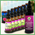 Esencje konstelacji systemowych rodzinnych