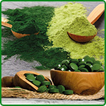 Spirulina and Chlorella