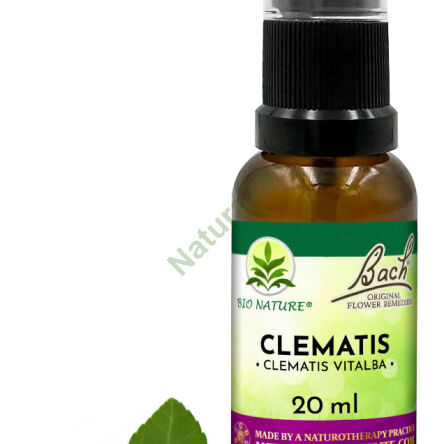 09. CLEMATIS / Powojnik pnący - Kompozycja Bach Original Flower Remedies Nelson 20ml - 2