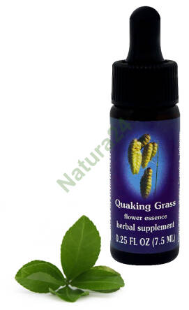 FES Quaking Grass 7,5 ml krople