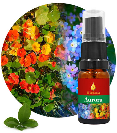 38. Aurora 10 ml Ararêtama Rainforest Essences