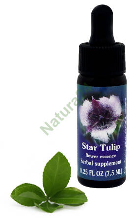 FES Star Tulip 7,5 ml krople