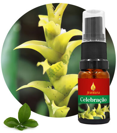 07. Celebração 10 ml Ararêtama Rainforest Essences