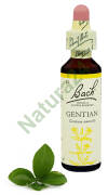 12. GENTIAN / Goryczka gorzkawa 20 ml Nelson Bach Original Flower Remedies