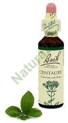 4. CENTAURY / Tysiącznik pospolity 20 ml Nelson Bach Original Flower Remedies