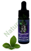 FES Peppermint 7,5 ml krople