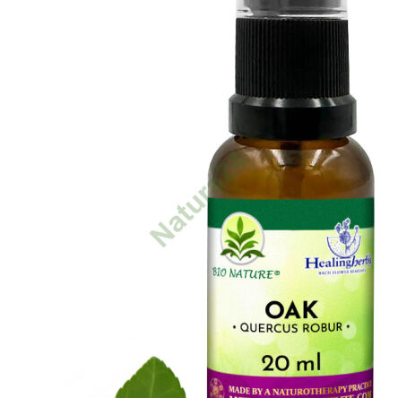 22. OAK / Dąb szypułkowy - Kompozycja HealingHerbs 20ml - 2
