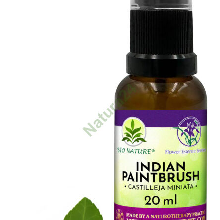 043. Indian Paintbrush - Kompozycja FES 20ml - 2