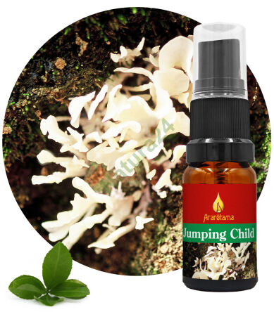14. Jumping Child 10 ml Ararêtama Rainforest Essences