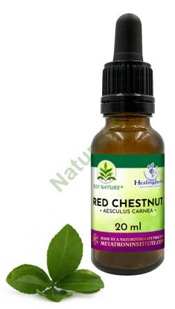 25. RED CHESTNUT / Kasztanowiec czerwony - Kompozycja HealingHerbs 20ml