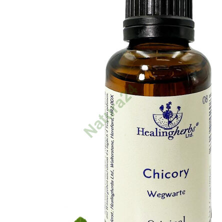 8. CHICORY / Cykoria podróżnik 10/30 ml lub globulki 15 g - 3