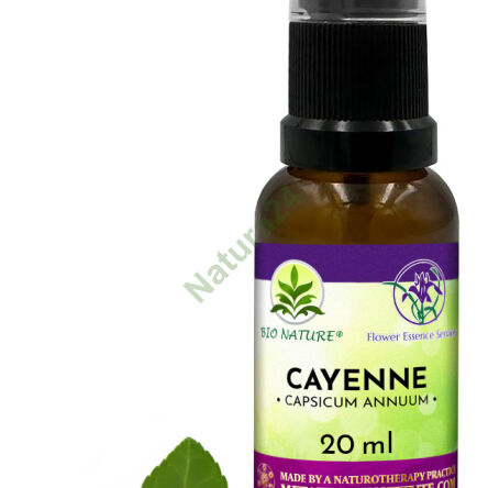 020. Cayenne - Kompozycja FES 20ml - 2