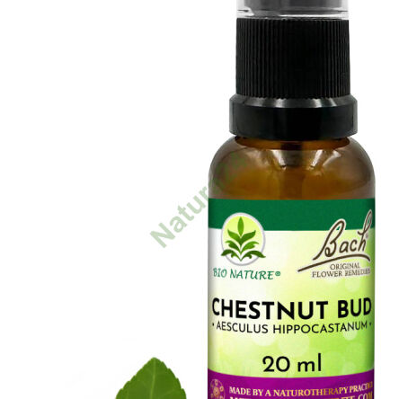 07. CHESTNUT BUD / Pąk kasztanowca - Kompozycja Bach Original Flower Remedies Nelson 20ml - 2