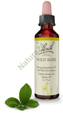 37. WILD ROSE / Dzika róża 20 ml Nelson Bach Original Flower Remedies deutsch