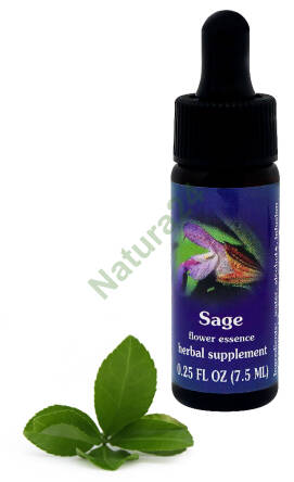 FES Sage 7,5 ml krople