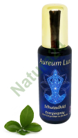 Spray energetyczny Aureum Lux Shield - Tarcza Ochronna