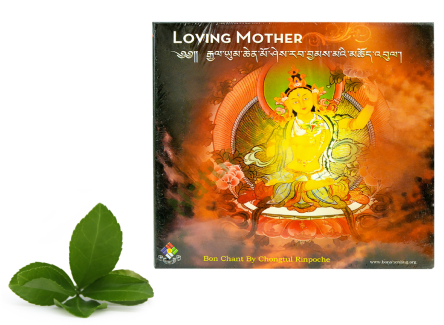 Płyta Loving Mother