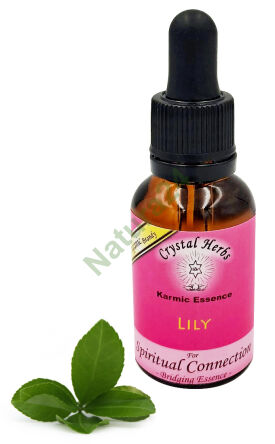 Crystal Herbs – Lily (Esencja karmiczna) – 25 ml
