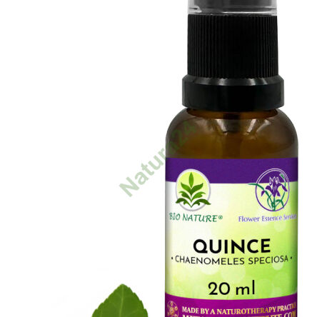 074. Quince - Kompozycja FES 20ml - 2