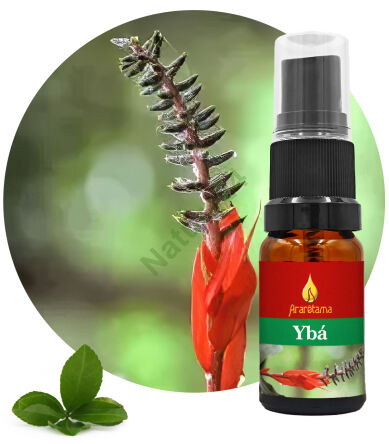 35. Ybá 10 ml Ararêtama Rainforest Essences