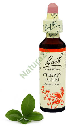 6. CHERRY PLUM / Śliwa wiśniowa 20 ml Nelson Bach Original Flower Remedies