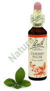 6. CHERRY PLUM / Śliwa wiśniowa 20 ml Nelson Bach Original Flower Remedies