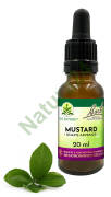 21. MUSTARD / Gorczyca polna - Kompozycja Bach Original Flower Remedies Nelson 20ml