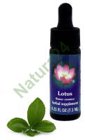 FES Lotus 7,5 ml krople