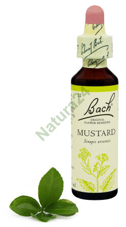 21. MUSTARD / Gorczyca polna 20 ml Nelson Bach Original Flower Remedies englisch