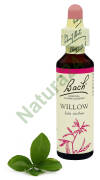 38. WILLOW / Wierzba biała 20 ml Nelson Bach Original Flower Remedies
