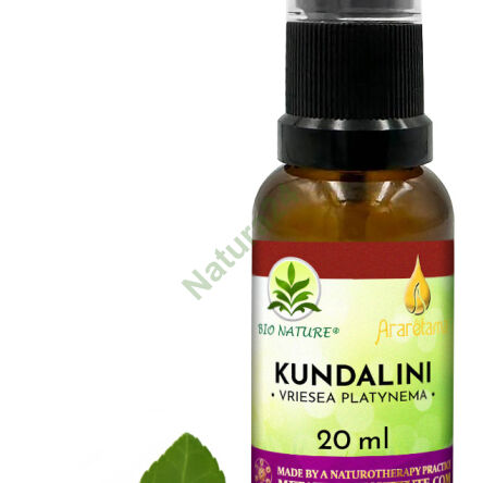 15. Kundalini - Kompozycja Ararêtama 20ml - 2