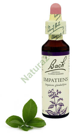 18. IMPATIENS / Niecierpek pospolity 20 ml Nelson Bach Original Flower Remedies