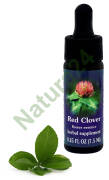 FES Red Clover 7,5 ml krople