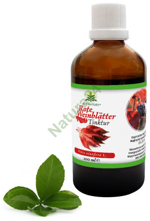 Ekstrakt Wyciąg (Nalewka) z czerwonych liści winogron 100ml