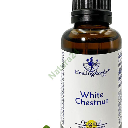 35. WHITE CHESTNUT / Kasztanowiec zwyczajny 10/30 ml lub globulki 15 g - 3