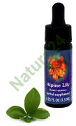 FES Alpine Lily 7,5 ml krople
