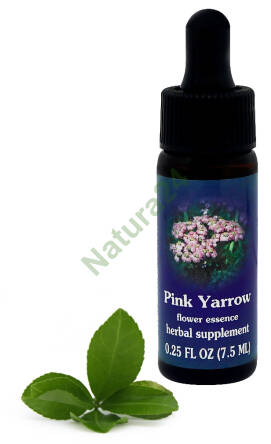 FES Pink Yarrow 7,5 ml krople