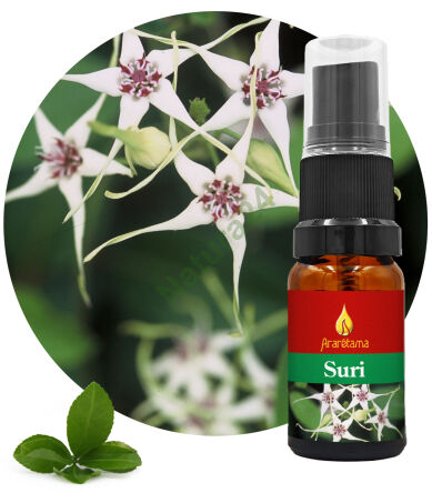 29. Suri 10 ml Ararêtama Rainforest Essences