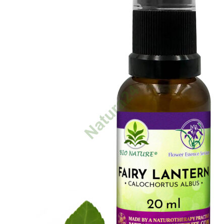 032. Fairy Lantern - Kompozycja FES 20ml - 2