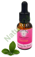 Crystal Herbs – Fuchsia (Esencja karmiczna) – 25 ml