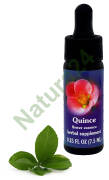 FES Quince 7,5 ml krople