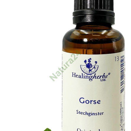 13. GORSE / Kolcolist Zachodni 10/30 ml lub globulki 15 g - 3