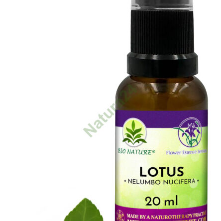 049. Lotus - Kompozycja FES 20ml - 2