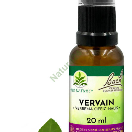 31. VERVAIN / Werbena pospolita - Kompozycja Bach Original Flower Remedies Nelson 20ml - 2