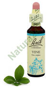 32. VINE / Winorośl właściwa 20 ml Nelson Bach Original Flower Remedies