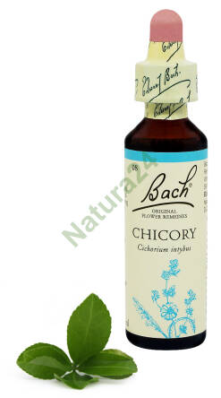 8. CHICORY / Cykoria podróżnik 20 ml Nelson Bach Original Flower Remedies