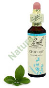 8. CHICORY / Cykoria podróżnik 20 ml Nelson Bach Original Flower Remedies
