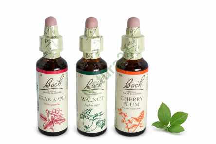 Zestaw antynikotynowy – wsparcie w procesie rzucania palenia