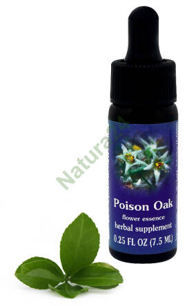 FES Poison Oak 7,5 ml krople